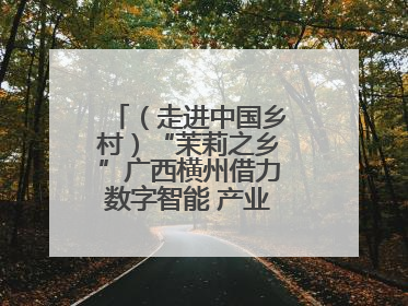（走进中国乡村）“茉莉之乡”广西横州借力数字智能 产业升级香飘海外