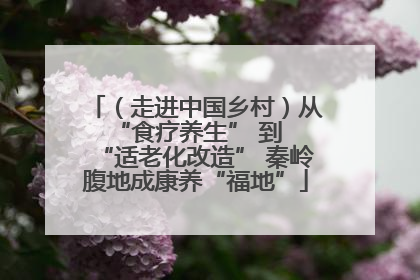 （走进中国乡村）从 “食疗养生” 到 “适老化改造” 秦岭腹地成康养“福地”