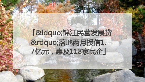 “锦江民营发展贷”落地两月授信1.7亿元，惠及118家民企