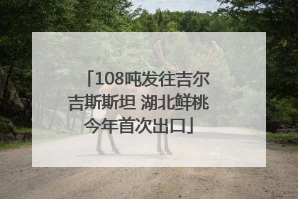108吨发往吉尔吉斯斯坦 湖北鲜桃今年首次出口