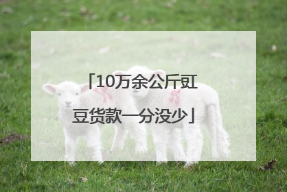 10万余公斤豇豆货款一分没少