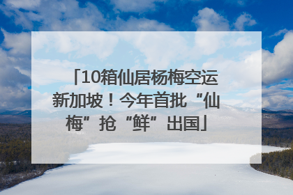 10箱仙居杨梅空运新加坡！今年首批“仙梅”抢“鲜”出国