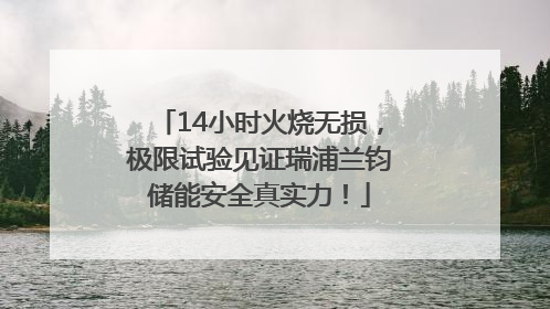 14小时火烧无损，极限试验见证瑞浦兰钧储能安全真实力！