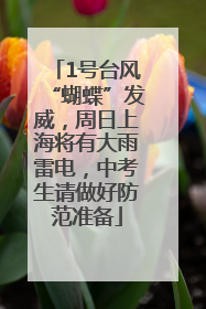 1号台风“蝴蝶”发威，周日上海将有大雨雷电，中考生请做好防范准备