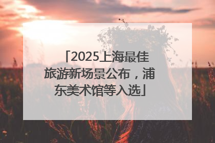 2025上海最佳旅游新场景公布，浦东美术馆等入选