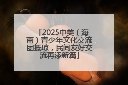 2025中美（海南）青少年文化交流团抵琼，民间友好交流再添新篇