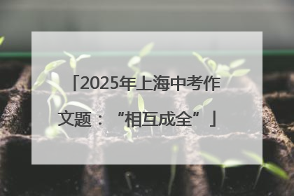 2025年上海中考作文题：“相互成全”
