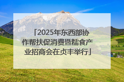 2025年东西部协作帮扶促消费暨糯食产业招商会在贞丰举行