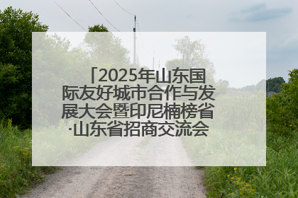 2025年山东国际友好城市合作与发展大会暨印尼楠榜省·山东省招商交流会在济南槐荫举行