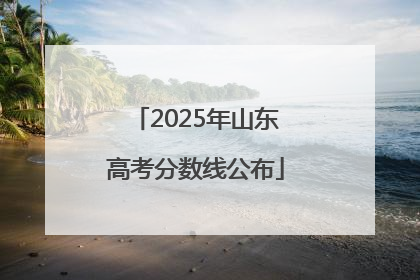 2025年山东高考分数线公布