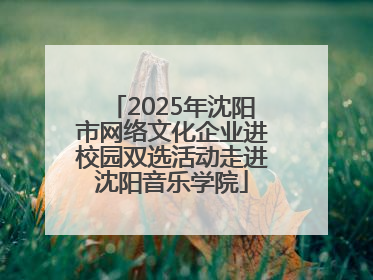 2025年沈阳市网络文化企业进校园双选活动走进沈阳音乐学院