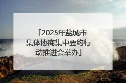 2025年盐城市集体协商集中要约行动推进会举办