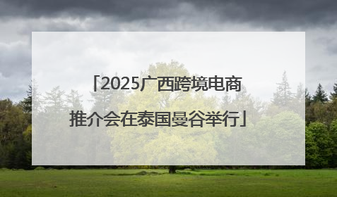 2025广西跨境电商推介会在泰国曼谷举行