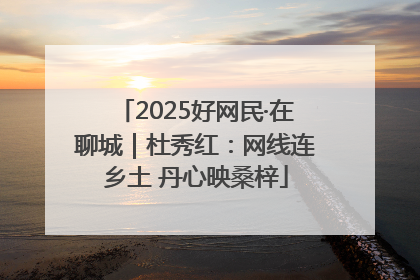 2025好网民·在聊城｜杜秀红：网线连乡土 丹心映桑梓