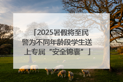 2025暑假将至民警为不同年龄段学生送上专属“安全锦囊”
