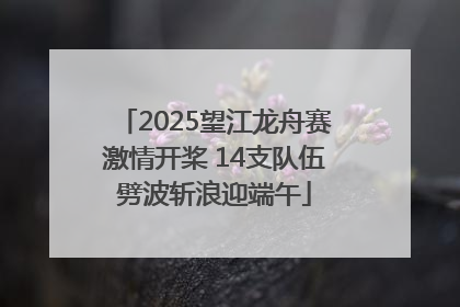 2025望江龙舟赛激情开桨 14支队伍劈波斩浪迎端午