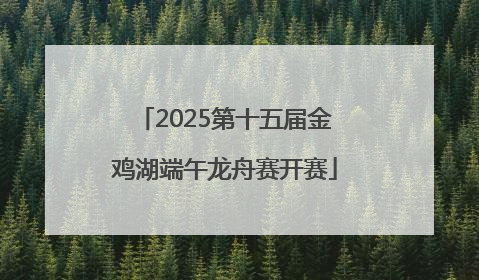 2025第十五届金鸡湖端午龙舟赛开赛