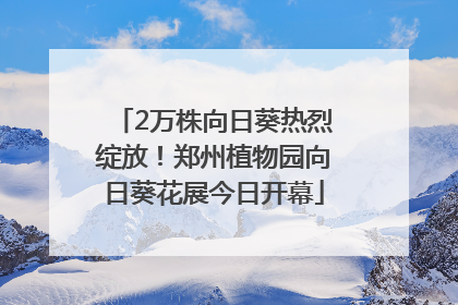 2万株向日葵热烈绽放！郑州植物园向日葵花展今日开幕