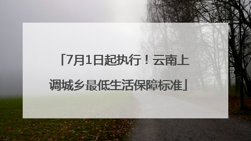 7月1日起执行！云南上调城乡最低生活保障标准