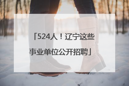 524人！辽宁这些事业单位公开招聘