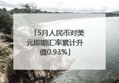 5月人民币对美元即期汇率累计升值0.93%