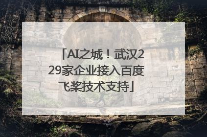 AI之城！武汉229家企业接入百度飞桨技术支持