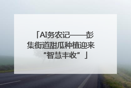 AI务农记——彭集街道甜瓜种植迎来“智慧丰收”