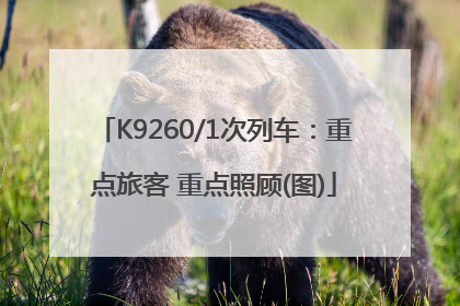 K9260/1次列车：重点旅客 重点照顾(图)