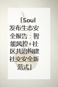 Soul发布生态安全报告：智能风控+社区共治构建社交安全新范式