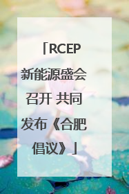 RCEP新能源盛会召开 共同发布《合肥倡议》